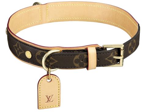 louis vuitton pet kopen|Louis Vuitton pet collar.